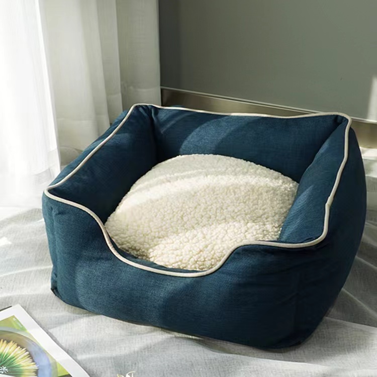 Elevating Pet Comfort2