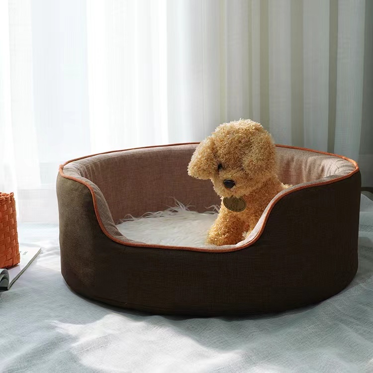 Elevating Pet Comfort4